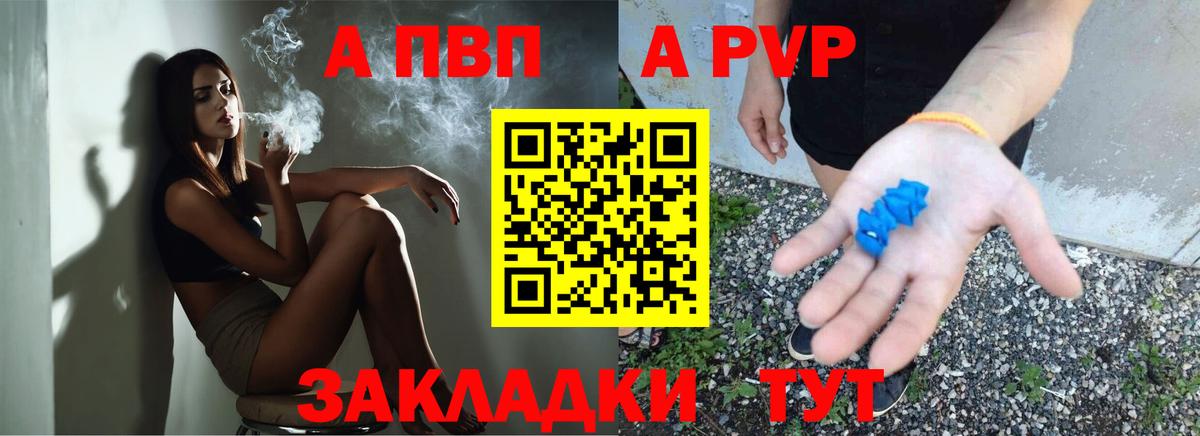 Alfa_PVP СК Елизово