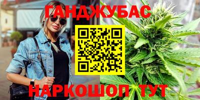 стафф Лесосибирск