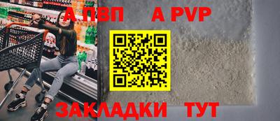 стафф Лесосибирск