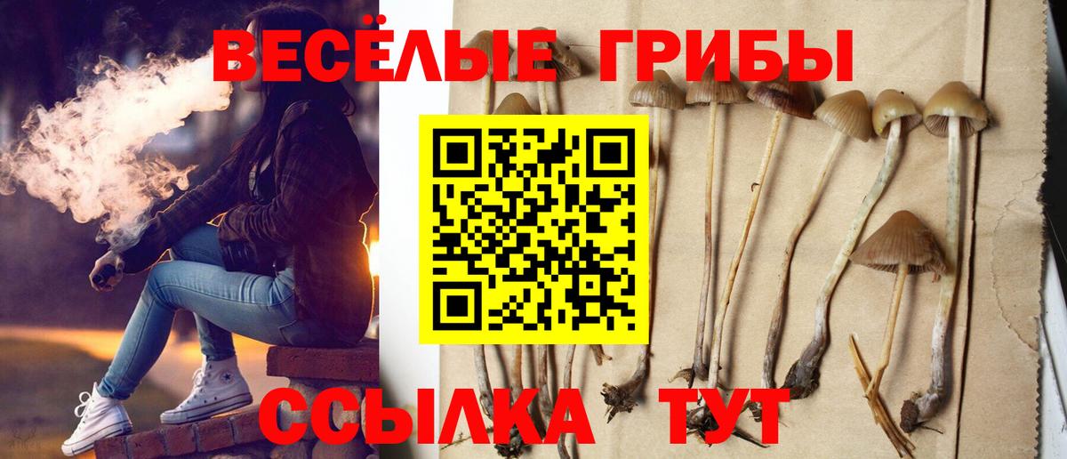 Елизово  Псилоцибиновые грибы ЛСД  Вход с VPN  Псилоцибиновые грибы Cubensis 